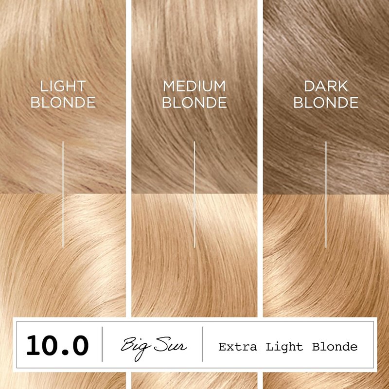 Clairol ColorStrong Permanent Hair Dye - Ammonia-Free, 100% Gray Coverage | 10.0 Extra Light Blonde