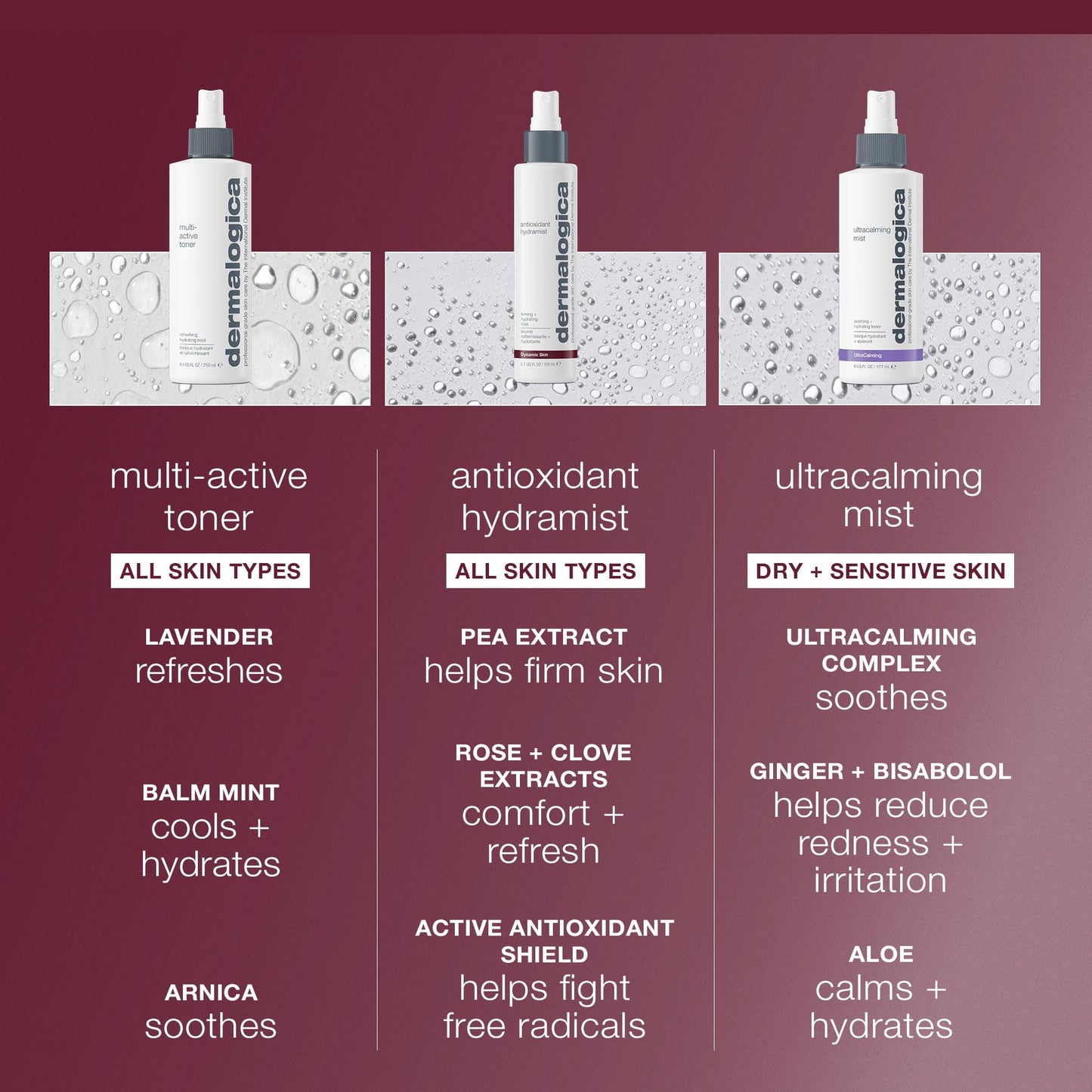 Dermalogica Antioxidant Hydramist, Anti-Aging Toner Spray, 1 fl oz