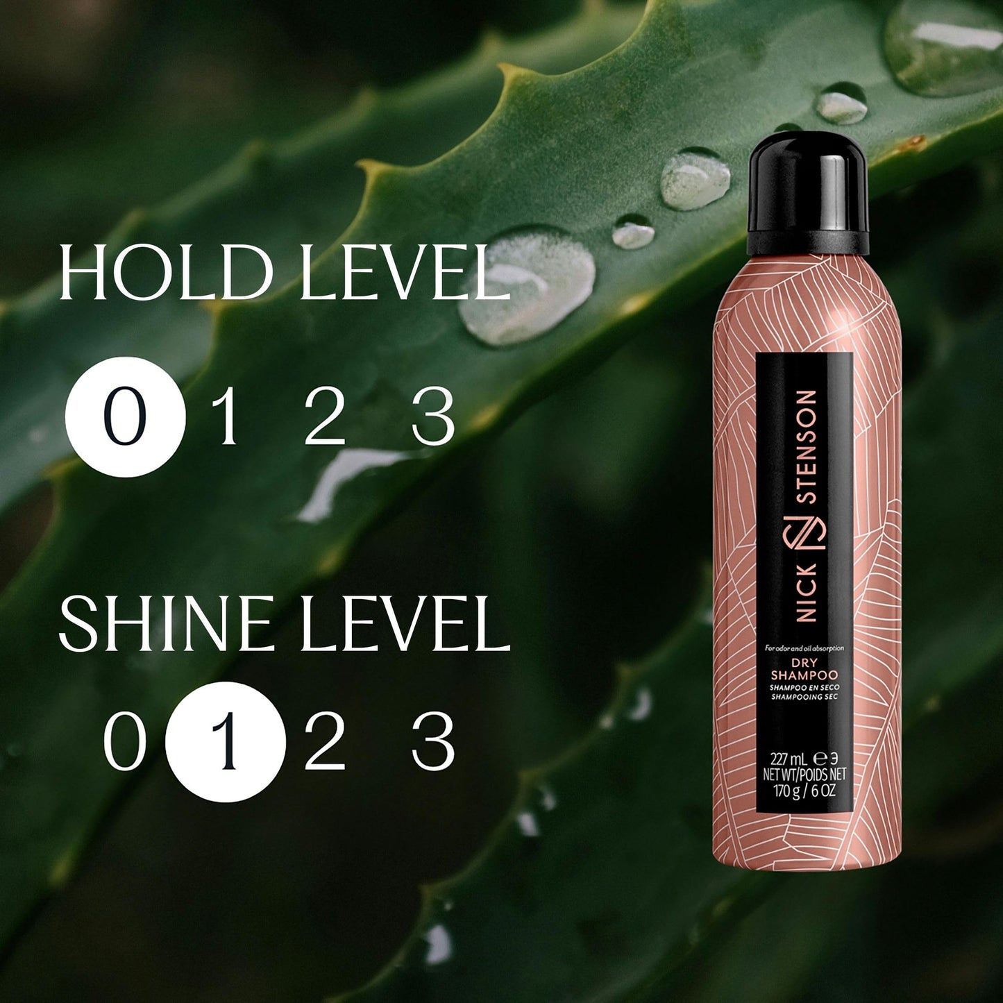 Nick Stenson Dry Shampoo, Cleanses & Volumizes the Hair While Repairing, Protecting & Enhancing - Absorbs Oil & Odor, Repairs & Refreshes - Cruelty Free, Color-Safe Vegan, BPA-Free - 6 oz
