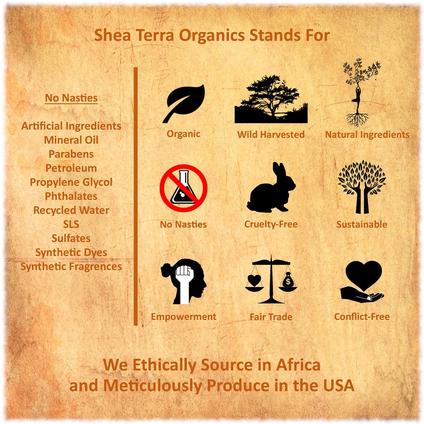 Shea Terra Namibian Marula Oil – 100% Pure Cold-Pressed Extra Virgin – Antioxidant-Rich Oil for Dry, Mature and Sensitive Skin – Natural Moisturizer for Face, Hair, Scalp and Cuticles – 2 oz