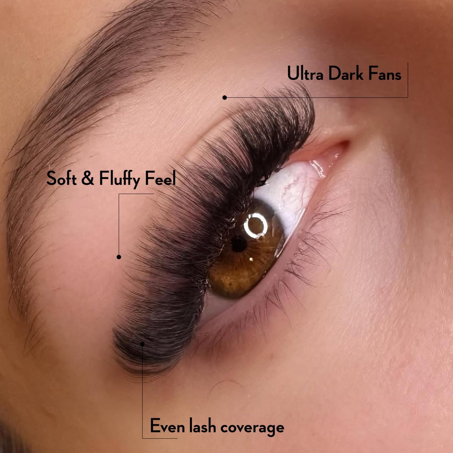 One V Salon Pro 14D Ultra-Speed Promade Fans,1000 Premade Extreme Mega Volume Lash Fans | D Curl | 0.05 | 9–15 mm Mixed Lengths | Thin Base, Fast Application Eyelash Extensions(Ultra 14D-0.05-D Curl)