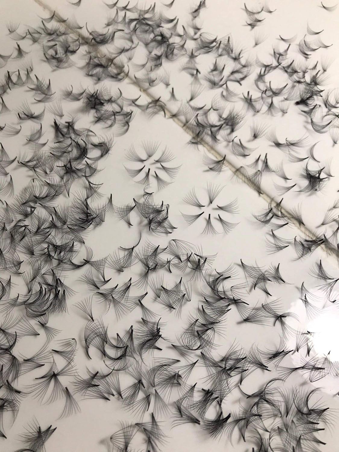 12D Premade Fan Lashes for Eyelash Extensions - D Curl, 0.05 Thickness | Length 10mm-15mm