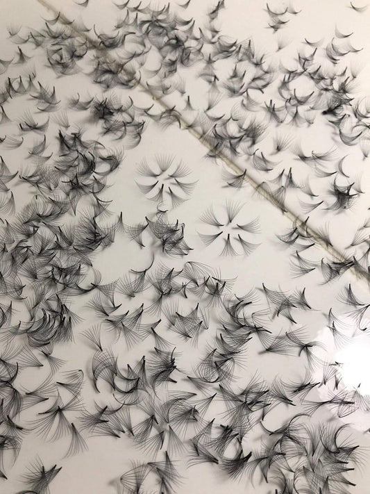 12D Premade Fan Lashes for Eyelash Extensions - D Curl, 0.05 Thickness | Length 10mm-15mm