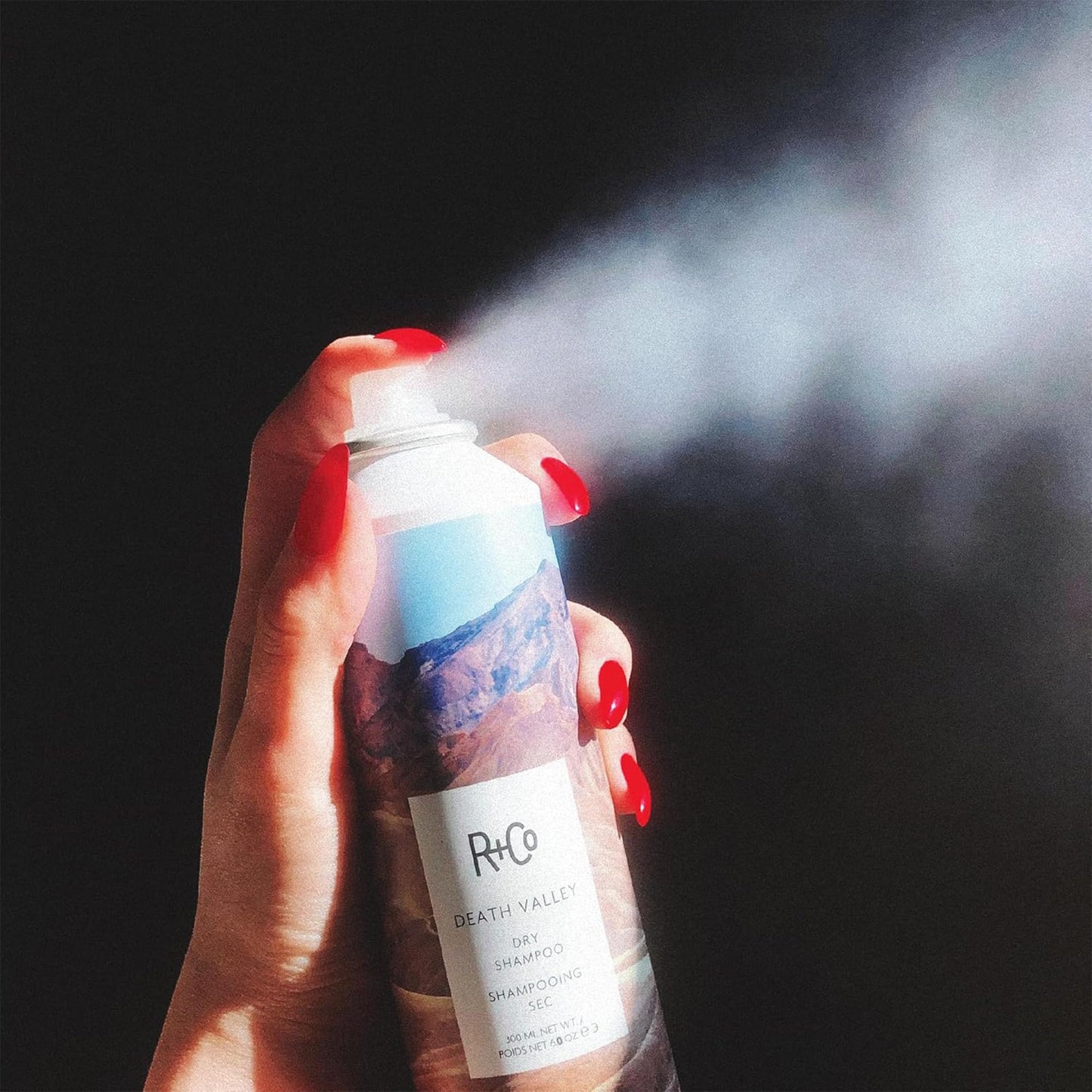 R+Co Death Valley Dry Shampoo | Adds Volume, Body and Absorbs Oil & Adds Texture | Vegan, Gluten-Free & No Parabens | 6 Ounce (Pack of 1)