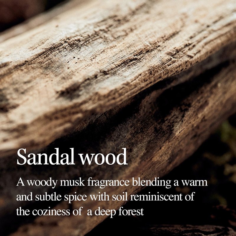 LONGTAKE Sandalwood Intensive Perfume Body Wash 10.1 Fl OzㅣSoothing protectionㅣStrengthening skin barrierㅣHydrating MoisturizingㅣFor All Types