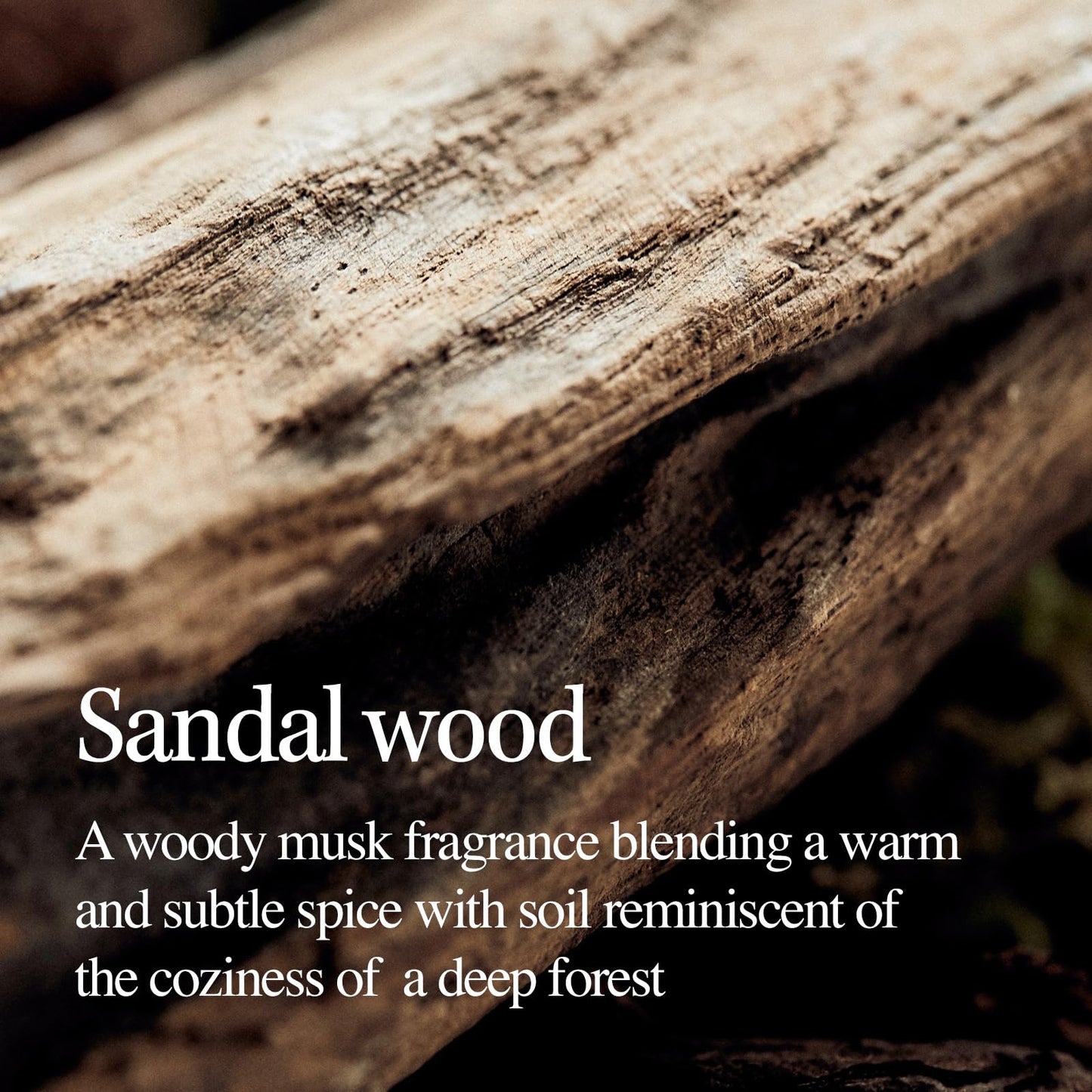 LONGTAKE Sandalwood Intensive Perfume Body Wash 10.1 Fl OzㅣSoothing protectionㅣStrengthening skin barrierㅣHydrating MoisturizingㅣFor All Types
