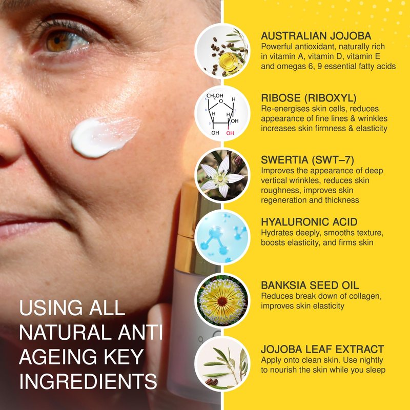 Jojoba Ultimate Night Cream – Anti-Aging Moisturizer for Wrinkles, Fine Lines & Regeneration – Hydrating Night Cream for All Types – Enhances Texture & Tone – 50ml