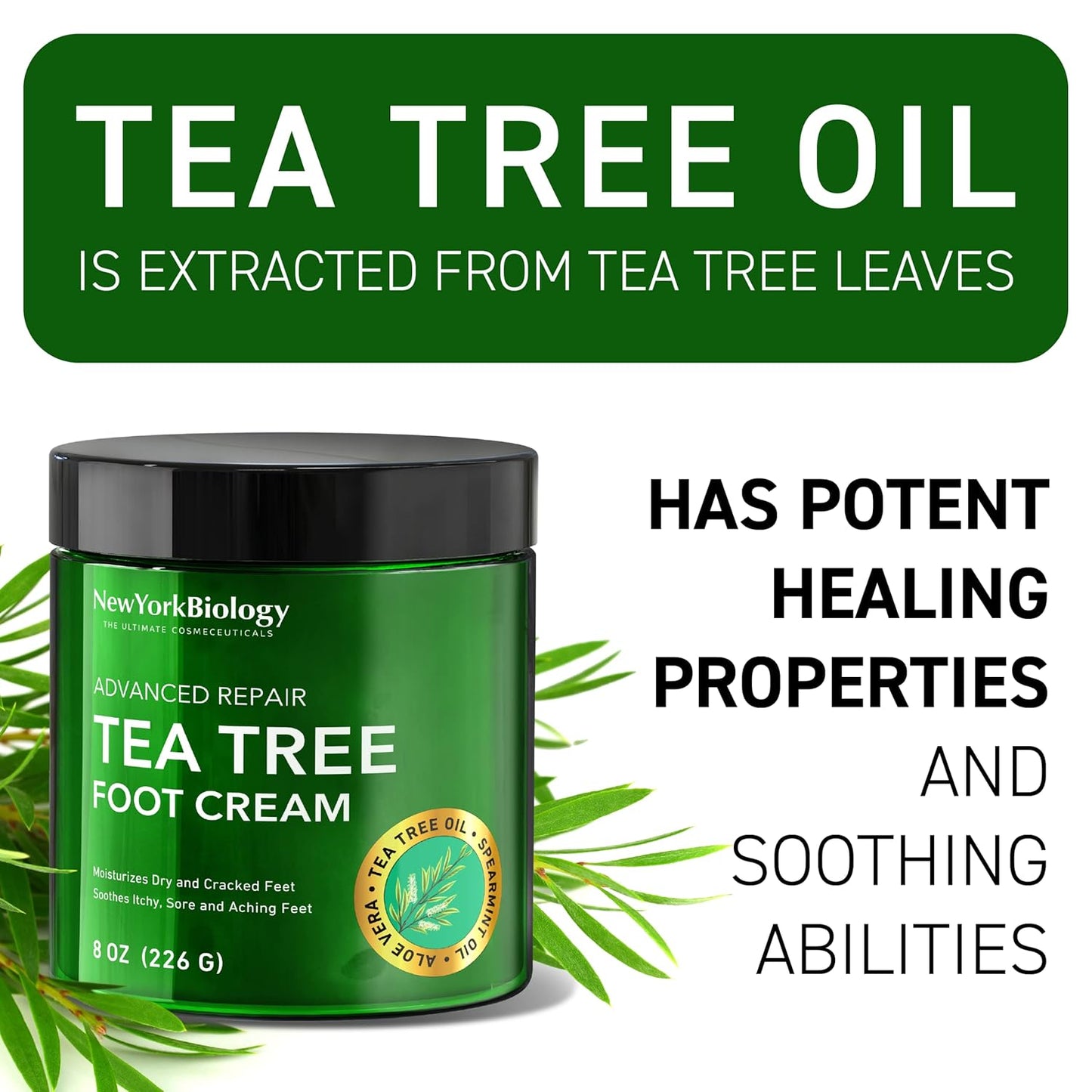 Tea Tree Oil Foot Cream - 8 Oz | Moisturizing Relief for Dry, Cracked Feet & Itchy Skin