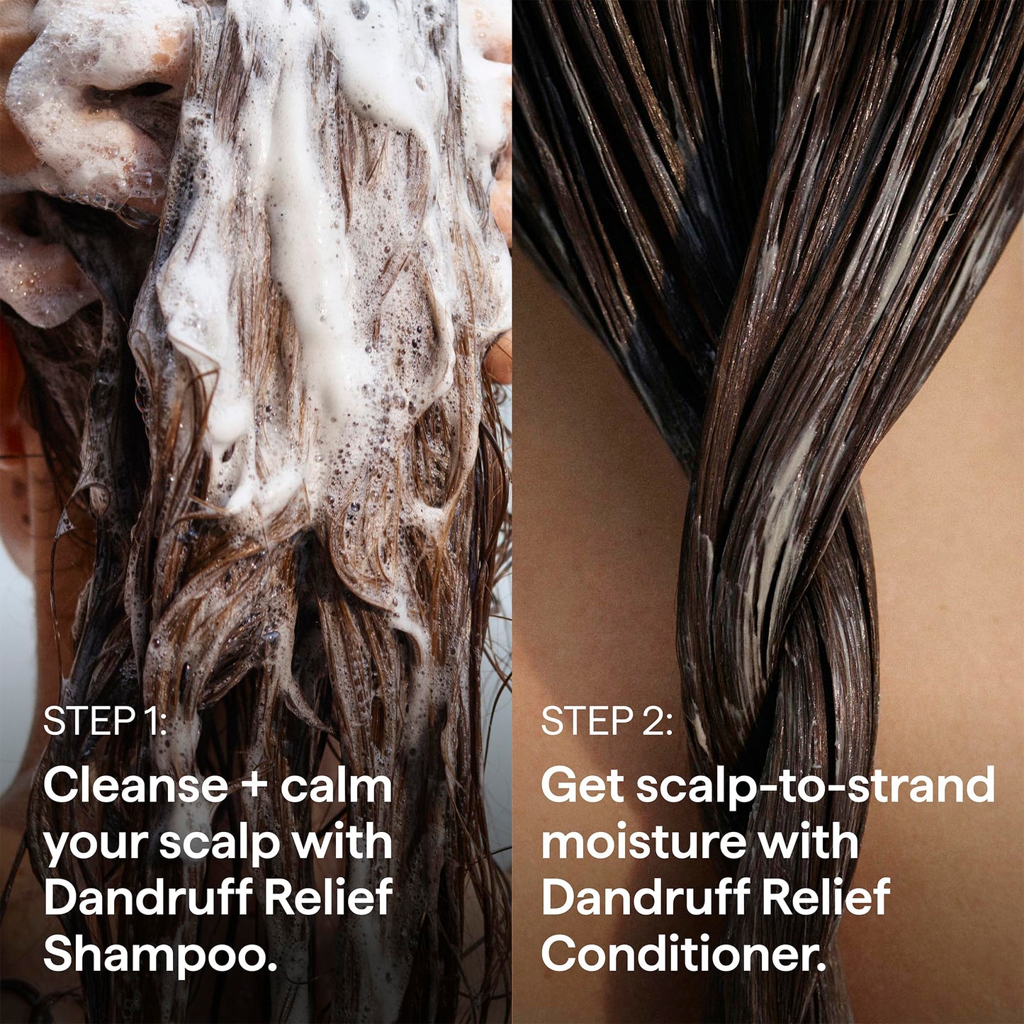 Briogeo Scalp Revival Dandruff Relief Shampoo | Charcoal + 3% Salicylic Acid | Daily Anti-Dandruff Shampoo for Flakes, Itch & Irritation | Color-Safe | Vegan & Cruelty-Free | 8.4 fl oz