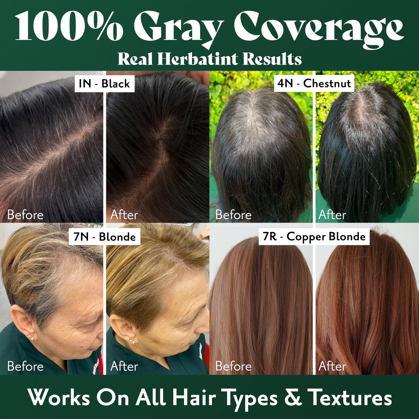 Herbatint Permanent Hair Dye - 1N Black - For Up To 100% Gray Coverage of Resistant Gray Hair - Ammonia-Free, Alcohol-Free & Vegan - Salon Influenced Hair color 5.75 fl oz (2 Pack)
