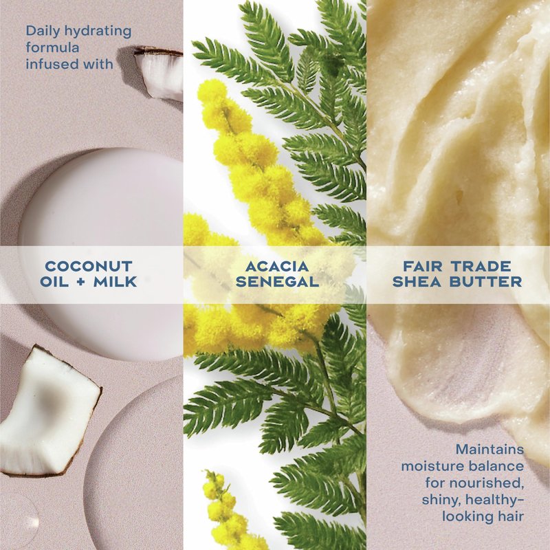 Shea Moisture Daily Hydration Shampoo Virgin Coconut Oil for All Hair Types Sulfate-Free 13 oz