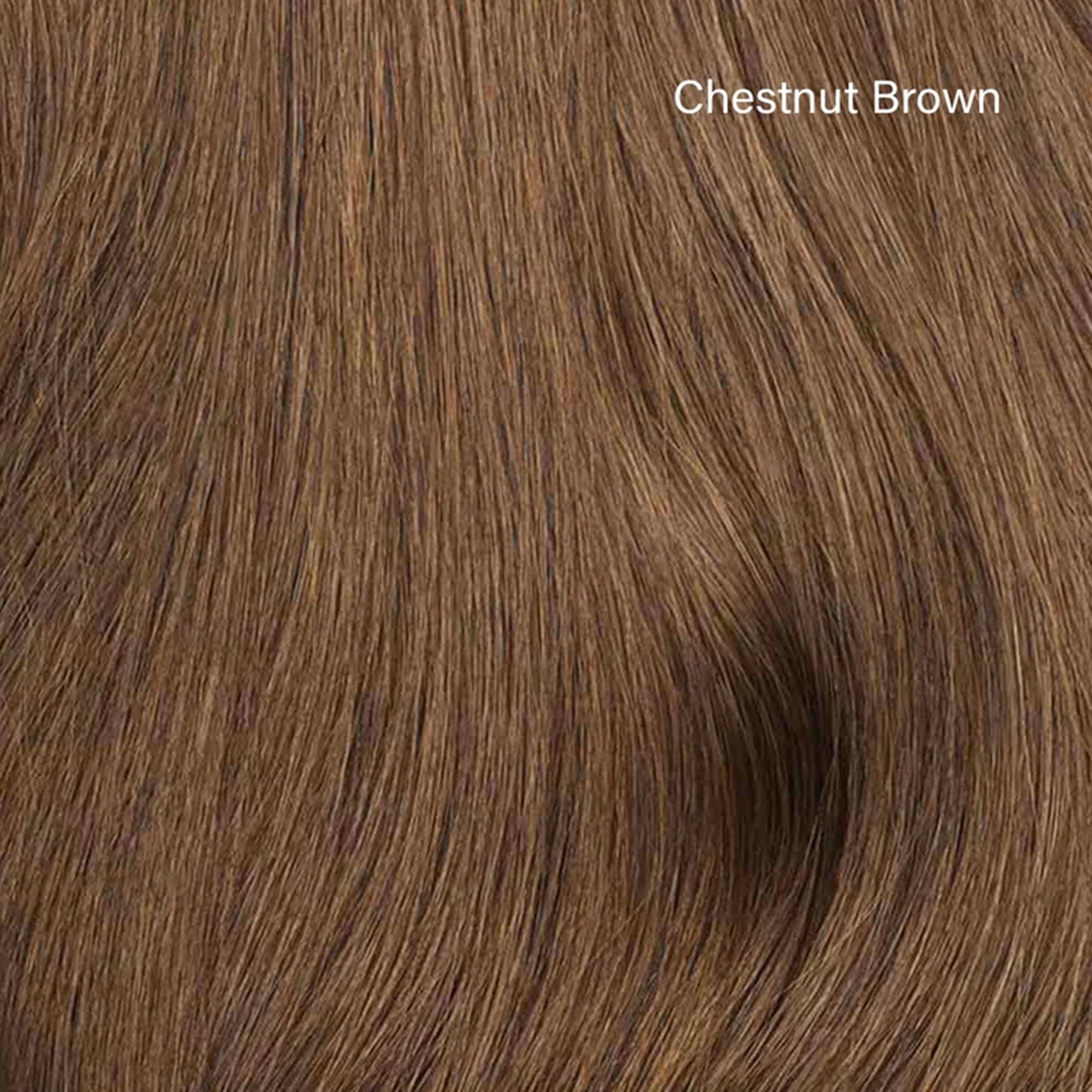 Hair Color Sample Swatch Bundle - Light Brown