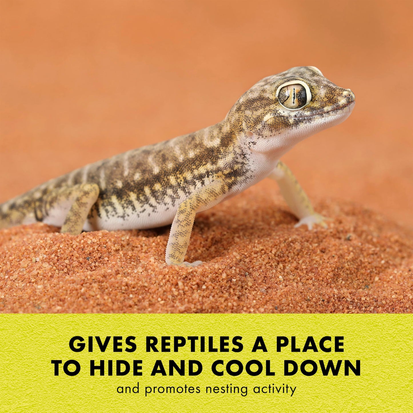 Zilla Rock Den, Naturalistic Rock Décor, Ideal Hideaway for Snakes, Skinks, Geckos, Bearded Dragons, Extra Large