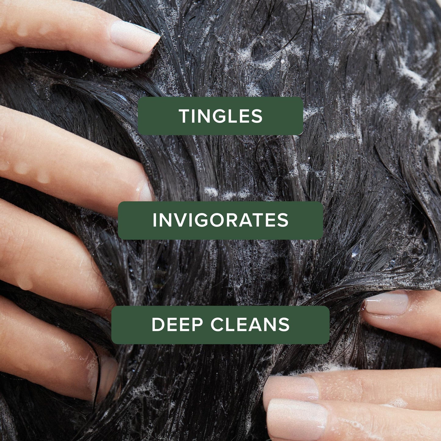Tea Tree Special Shampoo Aluminum Bottle, Deep Cleans, Refreshes Scalp, For All Hair Types, Especially Oily Hair, 16.9 oz