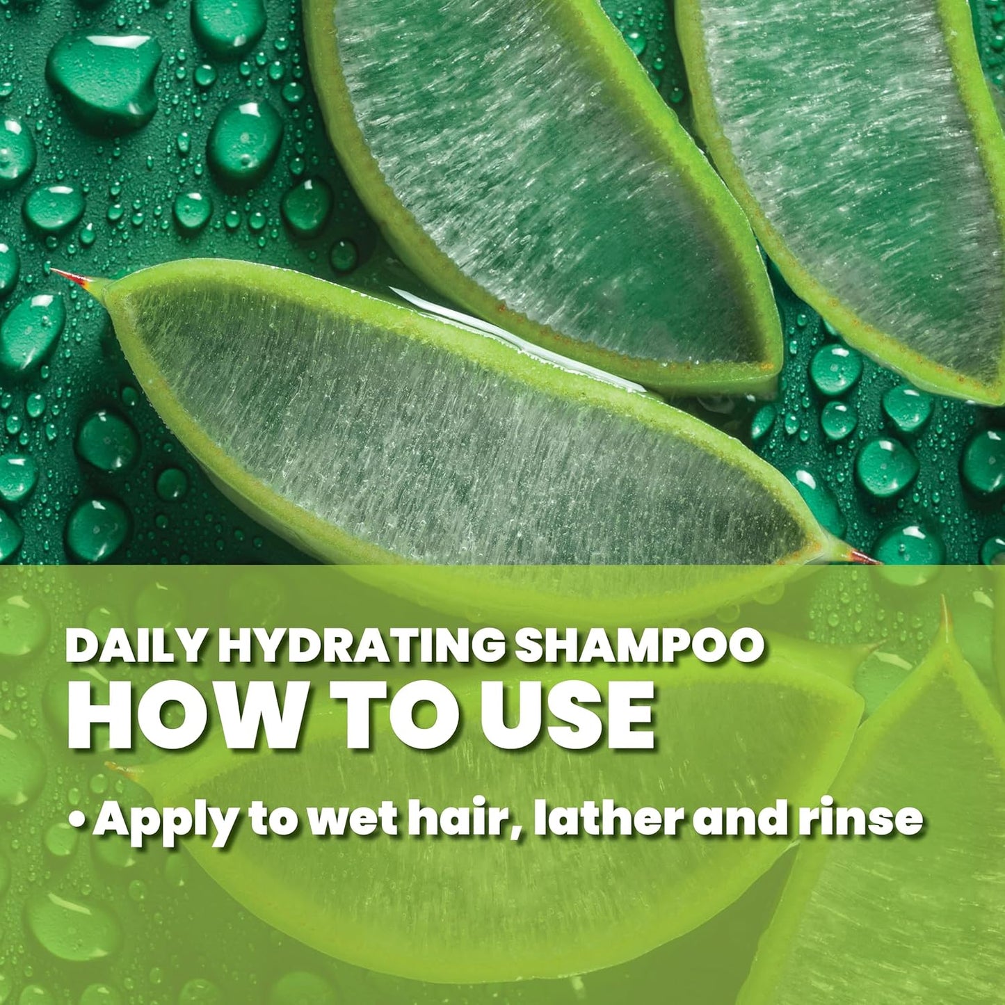 Daily Hydrating Shampoo for Men - Promotes Full, Healthy Hair | 32oz | Suitable for All Hair Types