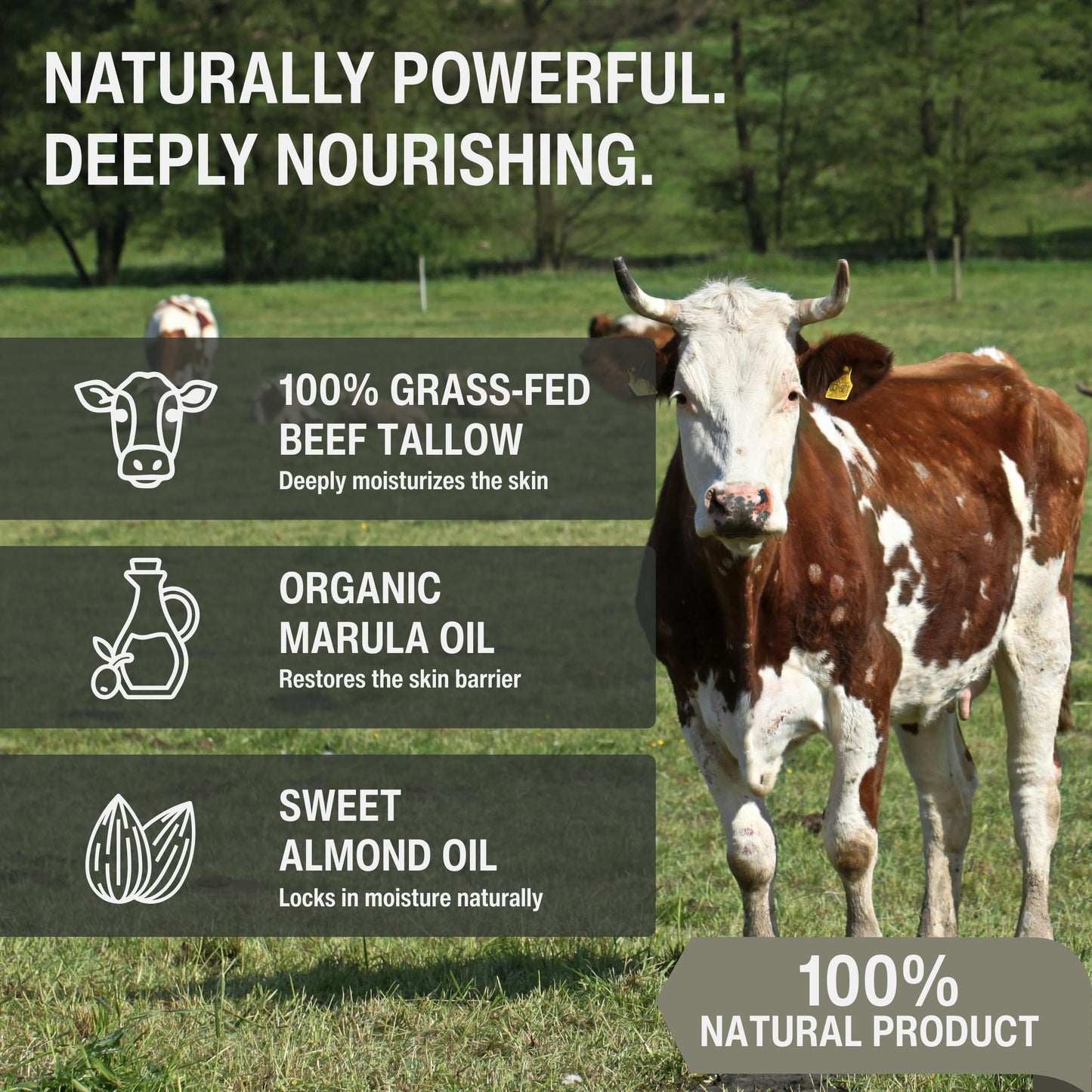Elara Beef Tallow for Skin - Grass-Fed Whipped Tallow Balm - Face & Body Moisturizer with Sweet Almond Oil - Lightweight Skin Moisturizer for Sensitive Skin - 4 Oz.