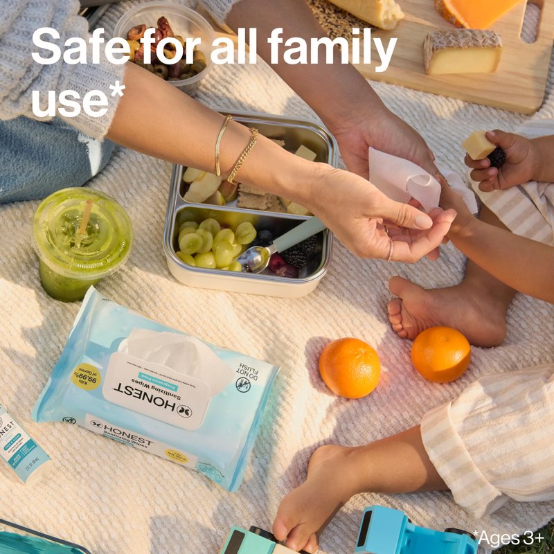 The Honest Company Fragrance-Free Sanitizing Alcohol Wipes, Antibacterial Safe for Hands, Kills 99% of Germs, Made With Aloe, 50 Count (1 Pack)