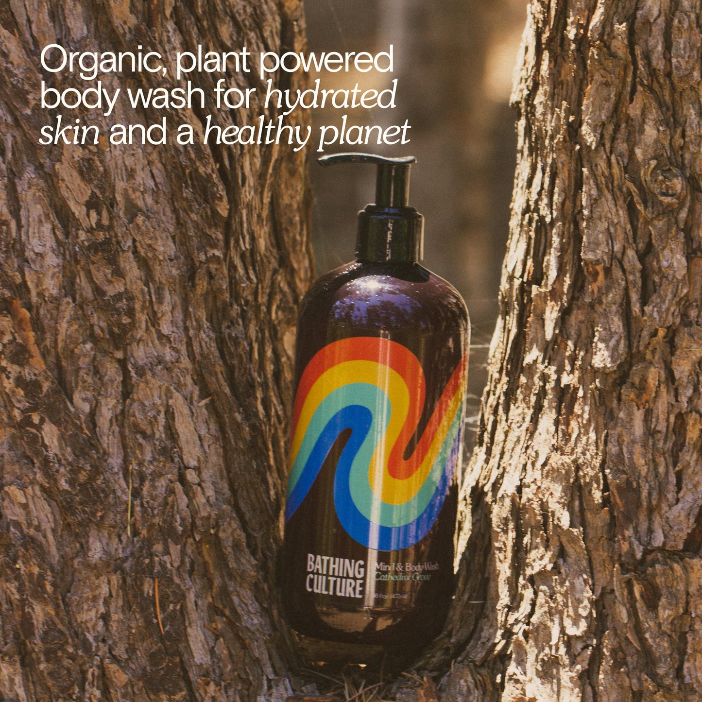 Bathing Culture Organic Body Wash for Women and Men, Natural Shower Gel, Biodegradable, Sustainable, Vegan Personal Care, 16 fl oz Plastic Bottle, Cathedral Grove Scent