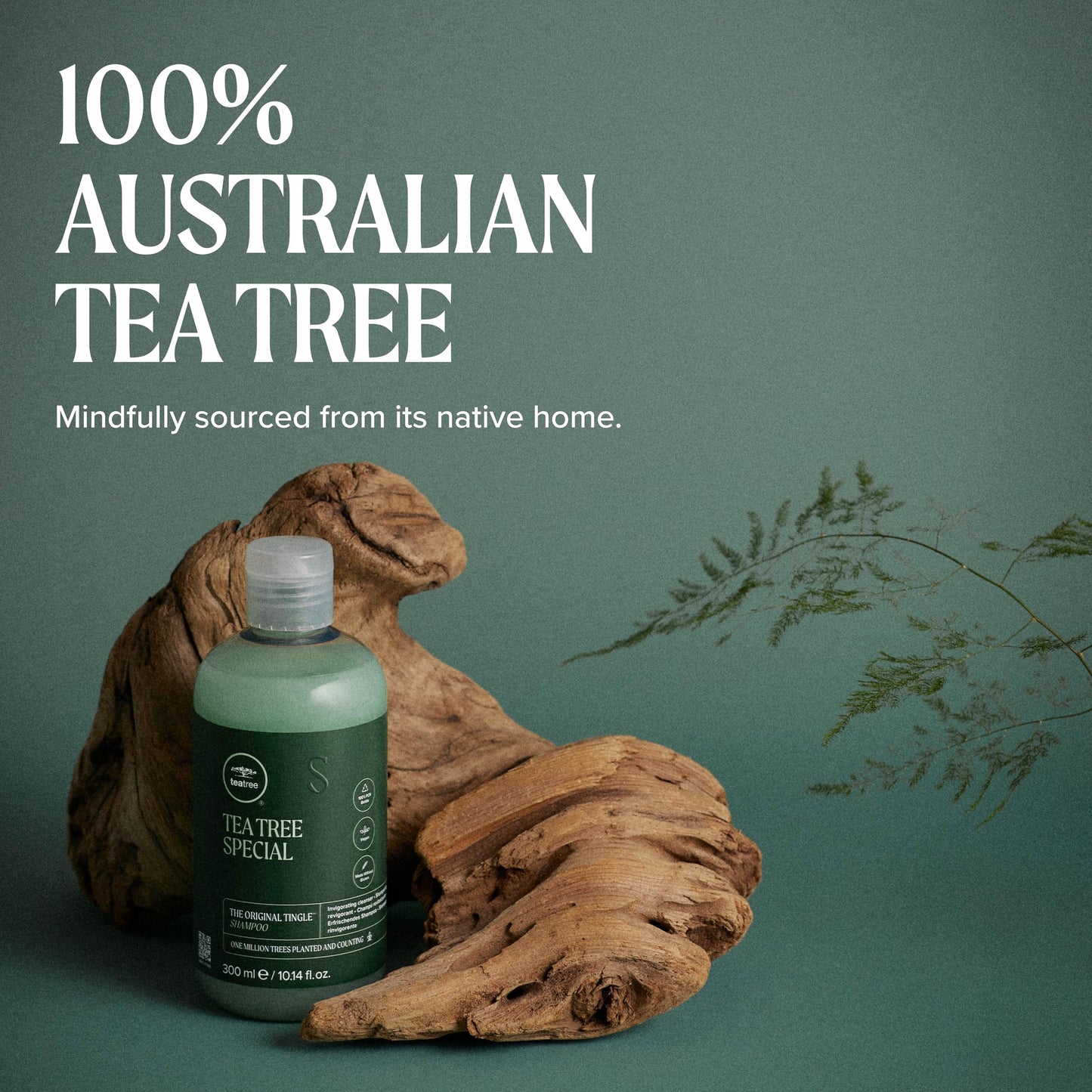 Tea Tree Special Shampoo, Deep Cleans, Refreshes Scalp, Especially Oily Hair, For All Hair Types