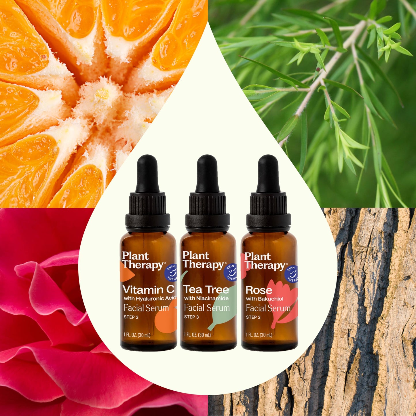 Plant Therapy Facial Serum Trio Set 1 oz each, Vitamin C & Hyaluronic Acid, Rose with Bakuchiol & Tea Tree with Niacinamide, Reduces the Appearance of Fine Lines & Wrinkles