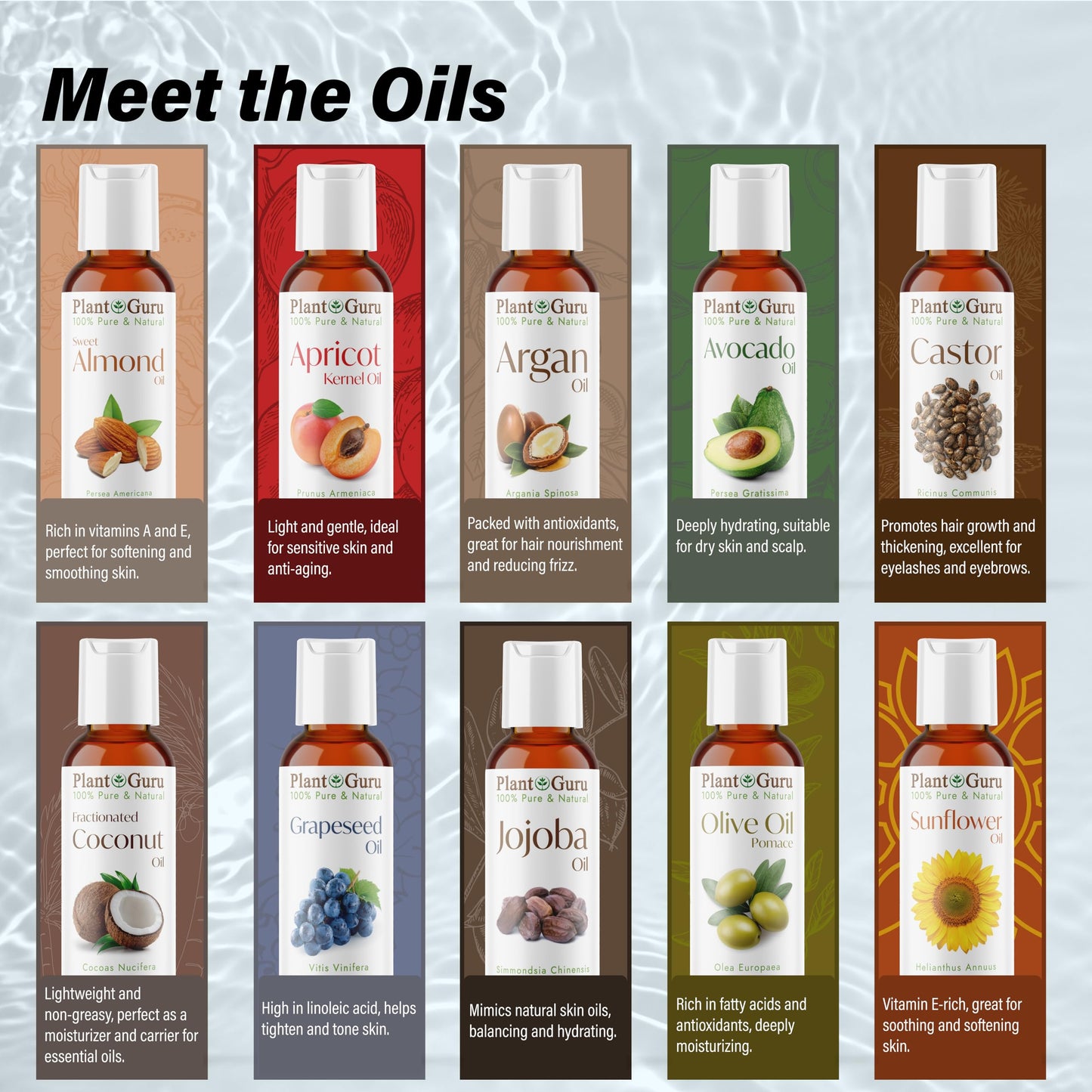Top 10 Carrier Oil Variety Set 2 oz - Cold Pressed 100% Pure Natural, Sweet Almond, Apricot Kernel, Argan, Avocado, Castor, Fractionated Coconut, Grapeseed, Jojoba, Olive and Sunflower.