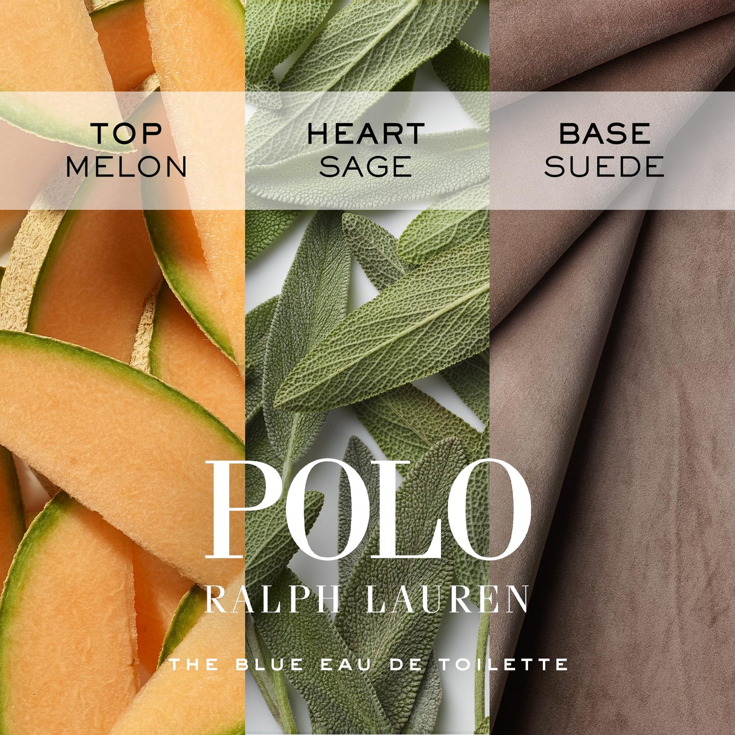 RALPH LAUREN FRAGRANCES Polo Blue - Eau de Toilette - Men's Cologne - Aquatic & Fresh - With Citrus, Sage, and Suede - Medium Intensity - 4.2 Fl Oz