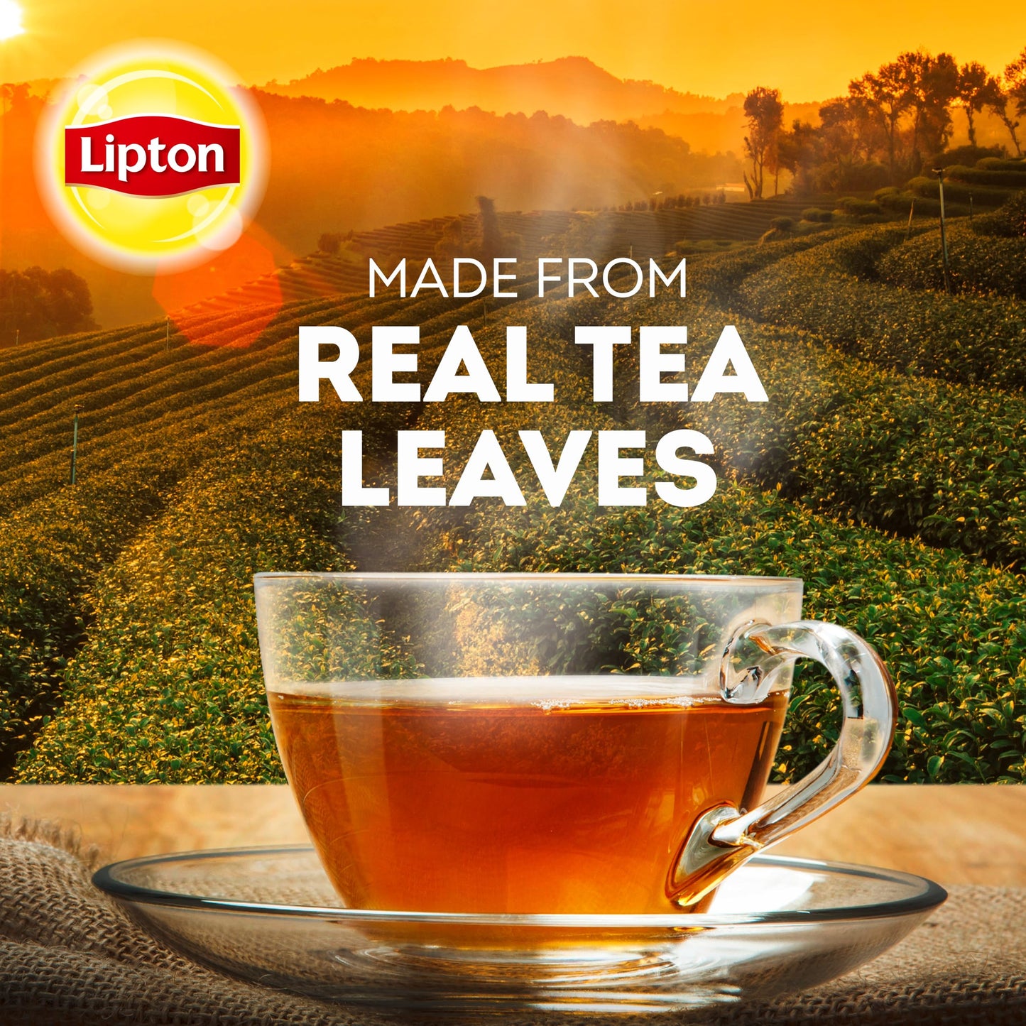 LIP290 - Tea Bags Decaffeinated