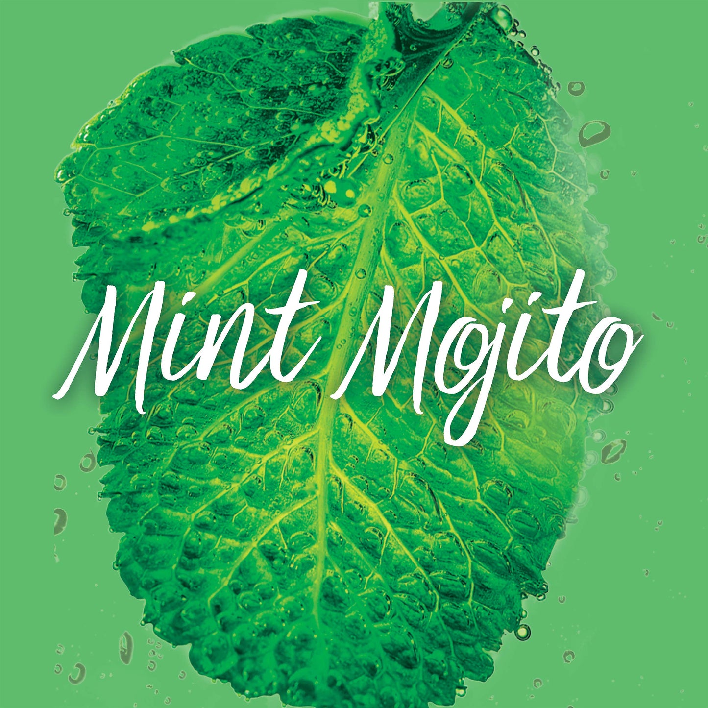 Garnier Invisible Dry Shampoo with no Visible Residue powered by Rice Starch to Instantly Absorb Oil, Refresh and Volumize, Silicone Free, Mint Mojito by Fructis, 4.4 oz.