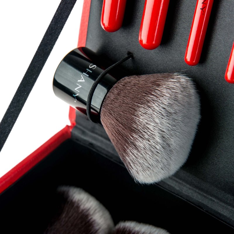 SHANY Makeup Brushes Vanity Vox- 15 Pc Premium Cosmetics Brush Set with Stylish Makeup Brush Storage Box and Brush Stand