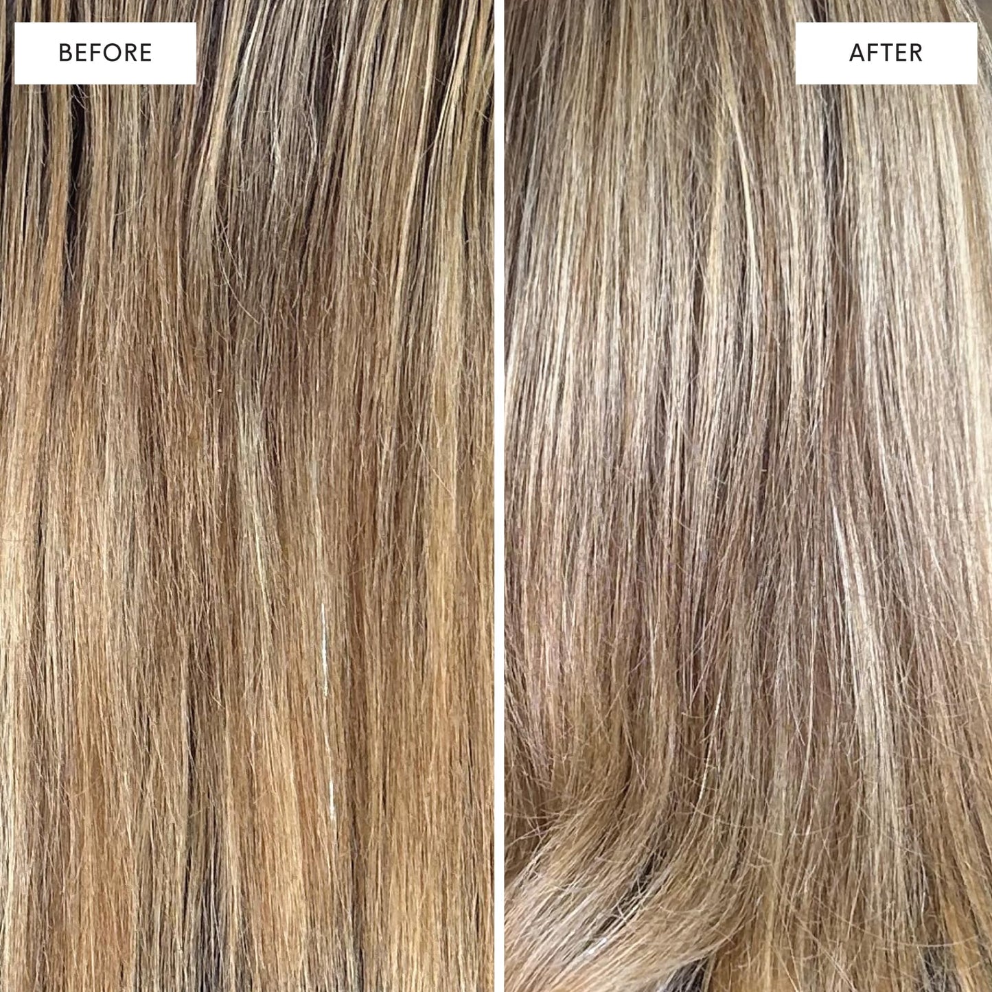 dpHUE Cool Blonde Conditioner - 6.5 oz - Purple Pigments Neutralize Unwanted Yellow, Brassy Hair Tones - Color Safe - Paraben, SLS & SLES Sulfate Free - Leaping Bunny Certified