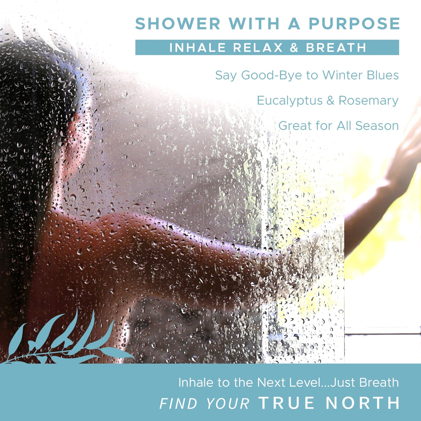 True North Botanicals Large Shower Steamers (12 Pack-1.75oz Each) Chakra Aromatherapy Optimism & Self-Esteem-Ideal Men/Women/Teens Christmas & Birthdays (5th Chakra - Peach, Cedarwood, & Bergamot)