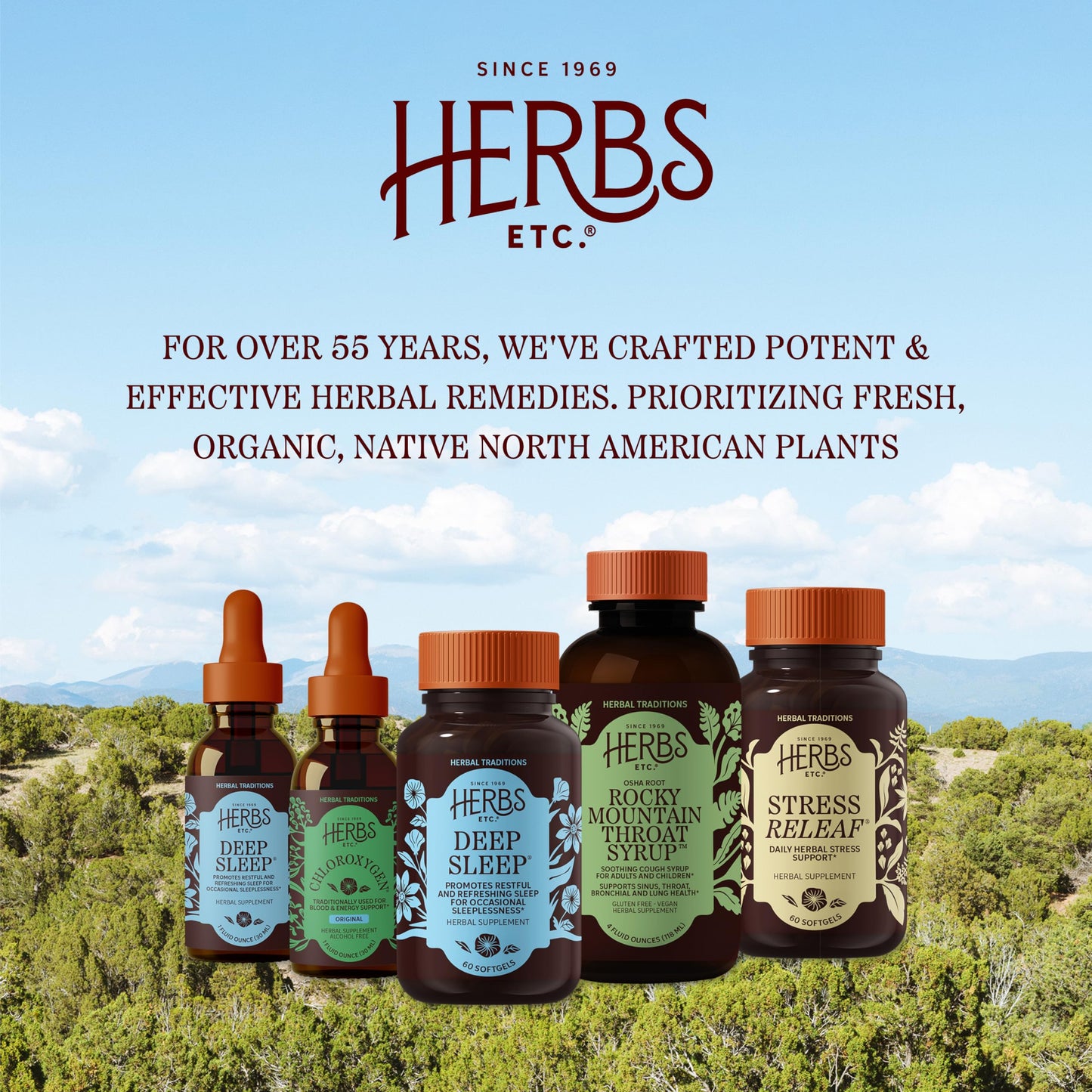 Herbs Etc. Mullein Garlic Ear Drops - Comfort Blend to Soothe Ear Irritation - Fast-Acting Drops - Garlic & Mullein - Gluten-Free, Organic & Vegan - 1 fl oz