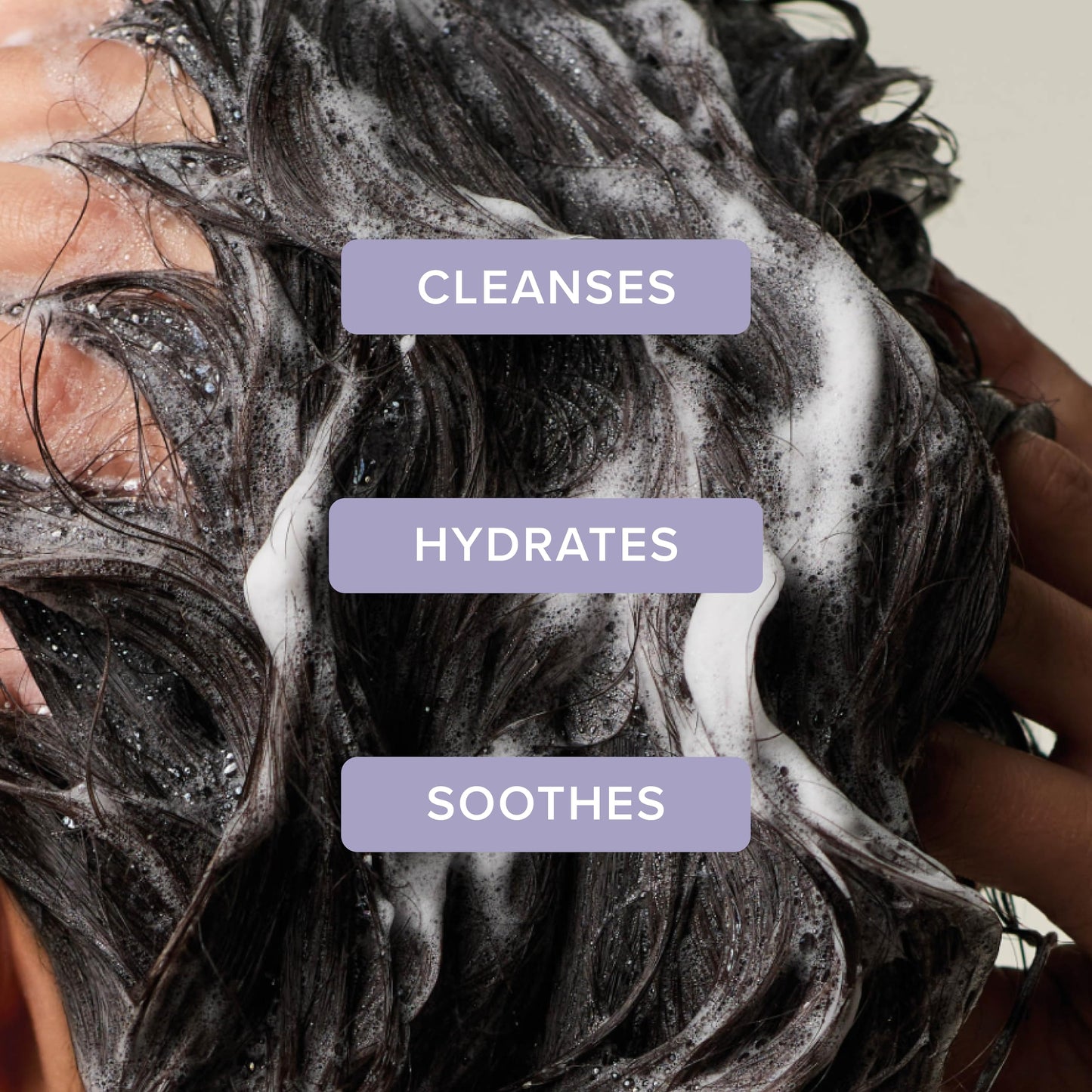 Tea Tree Lavender Mint Moisturizing Shampoo, Hydrates + Soothes, For Coarse + Dry Hair, 33.8 fl. oz.